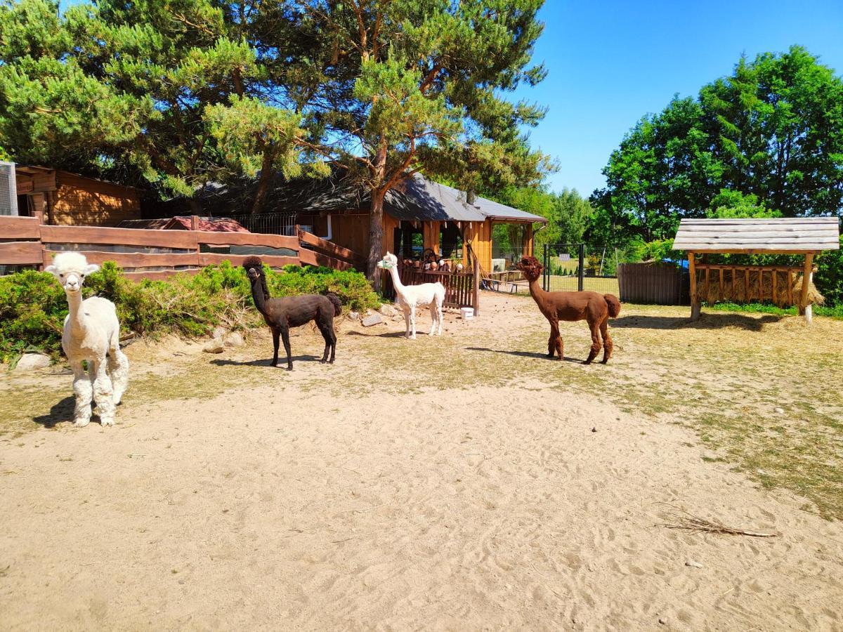 Domek Na Slonecznikowej フミエルノ エクステリア 写真