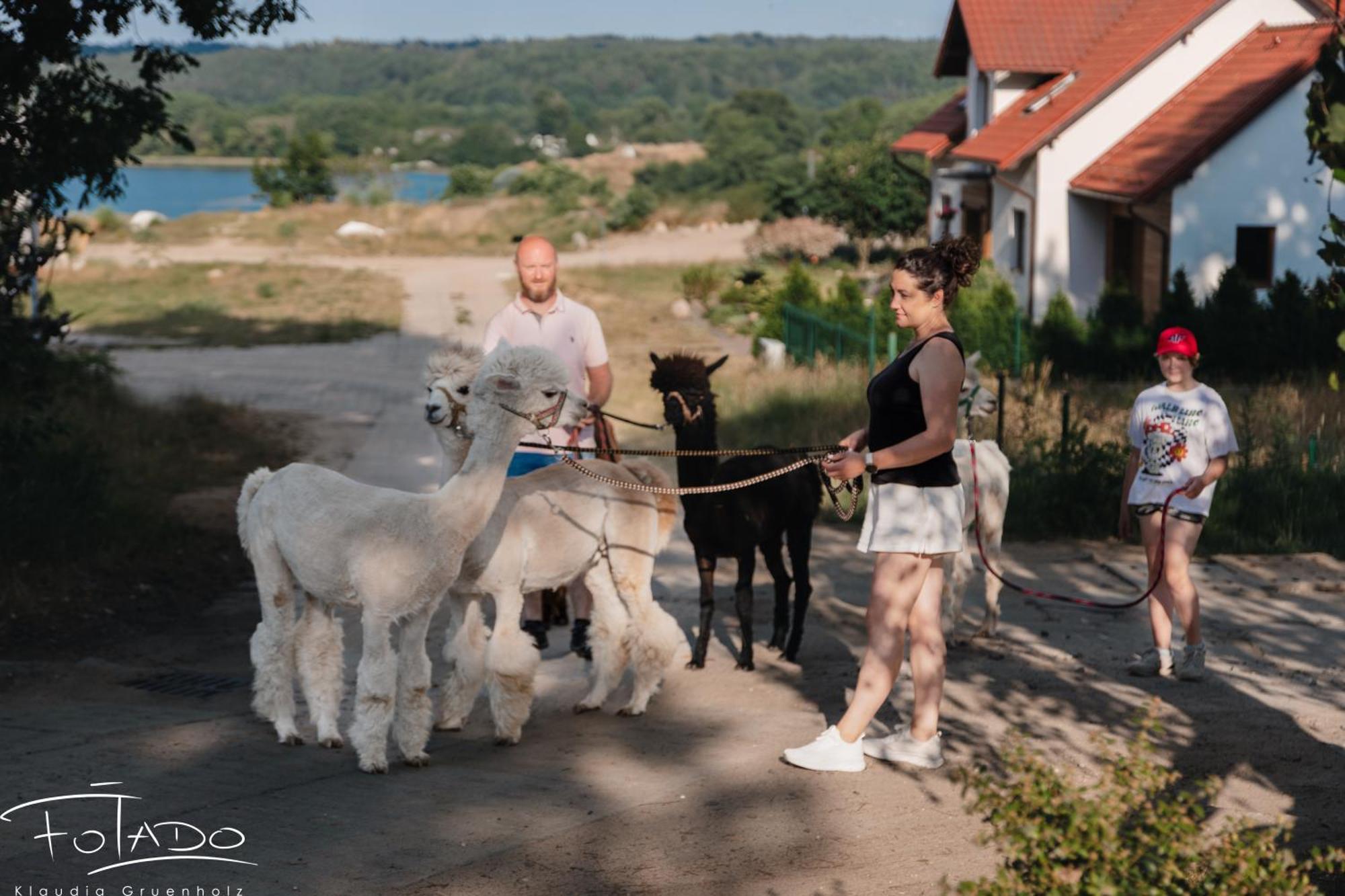 Domek Na Slonecznikowej フミエルノ エクステリア 写真